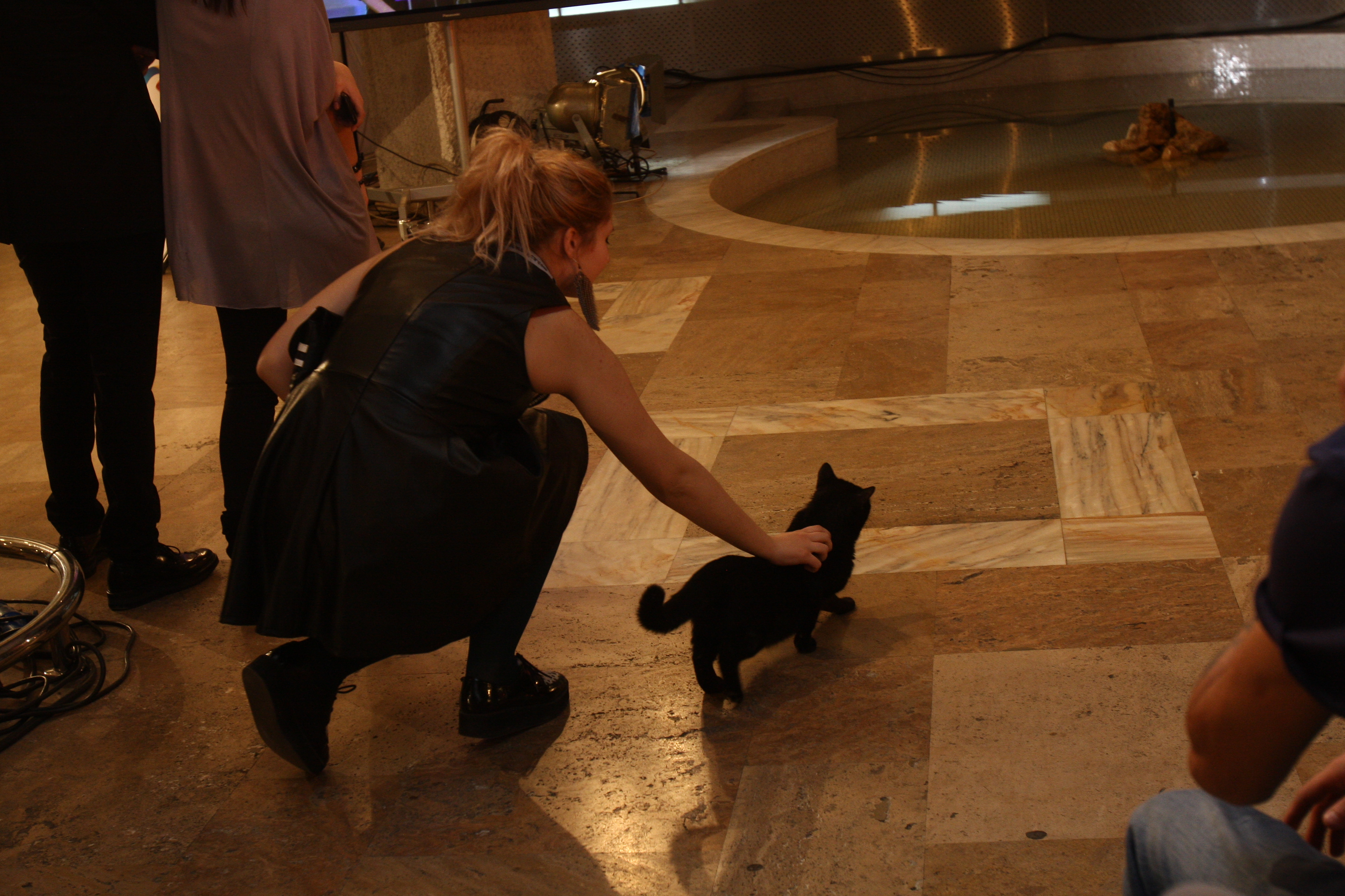 Pisica neagra a tulburat linistea artistilor care se pregateau sa intre in concurs