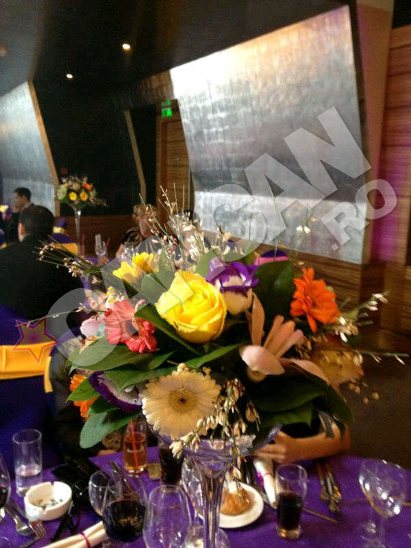 Elwira si Mihai Petre