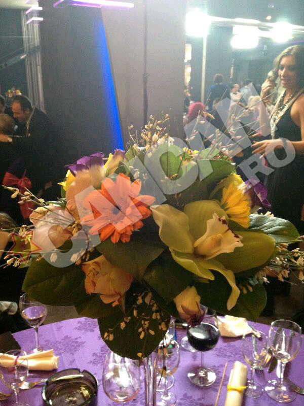 Elwira si Mihai Petre