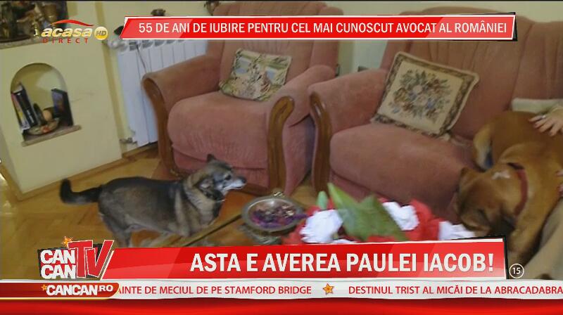 Paula Iacob are casa plină! Uite de cine are grijă avocata şi care este averea ei cea mai mare!