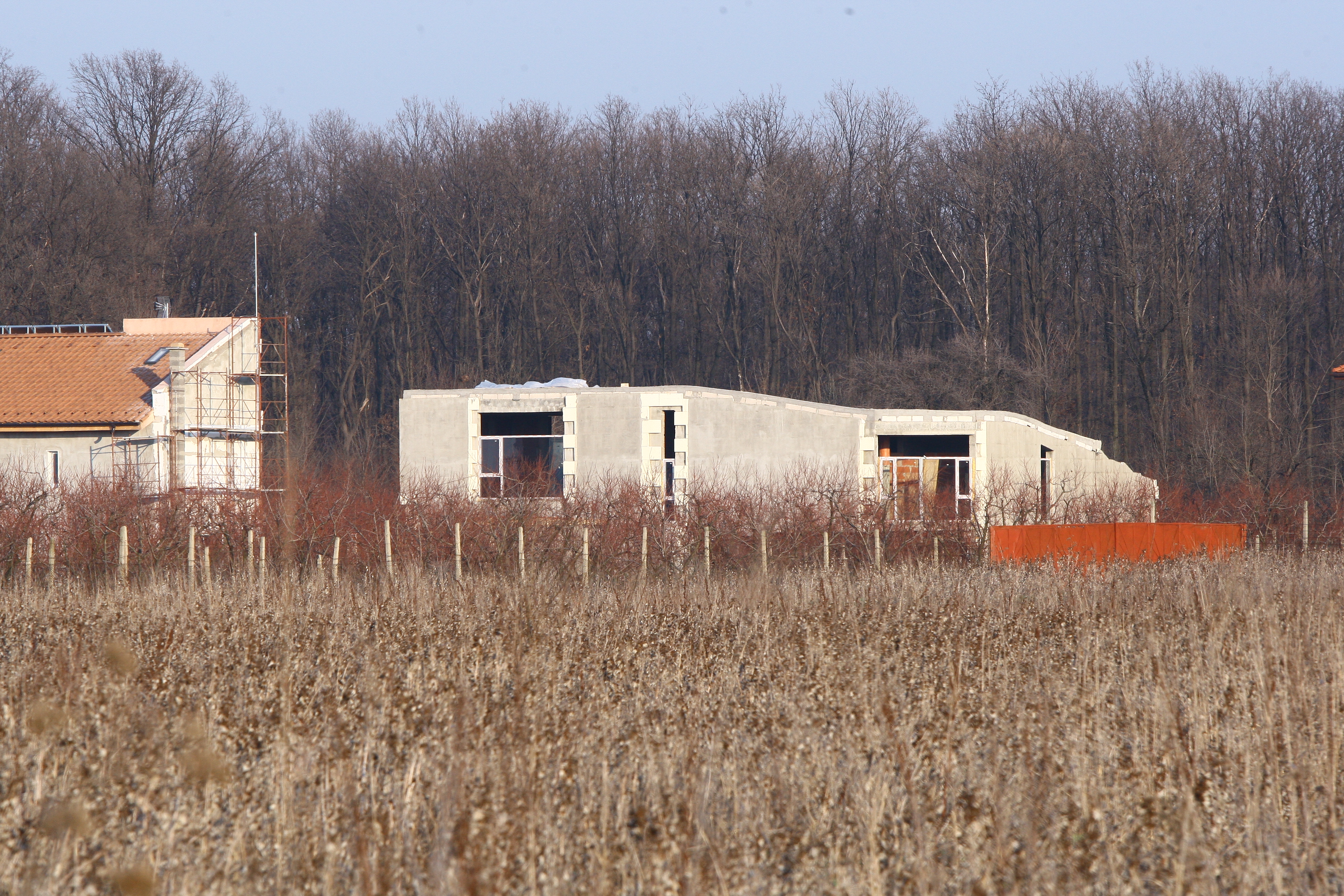 Moga nu a putut sta departe de Smiley, asa ca se va muta fix langa el