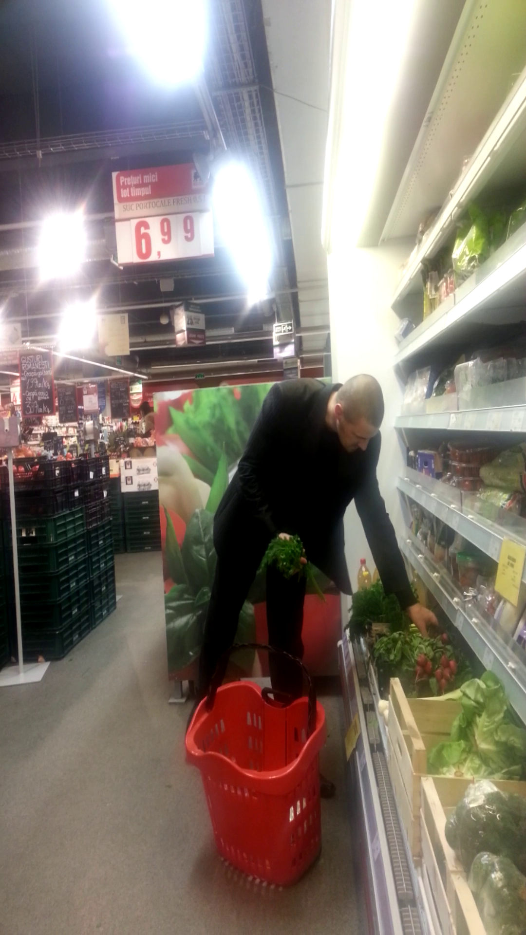 Artistul alege cu grija verdeata