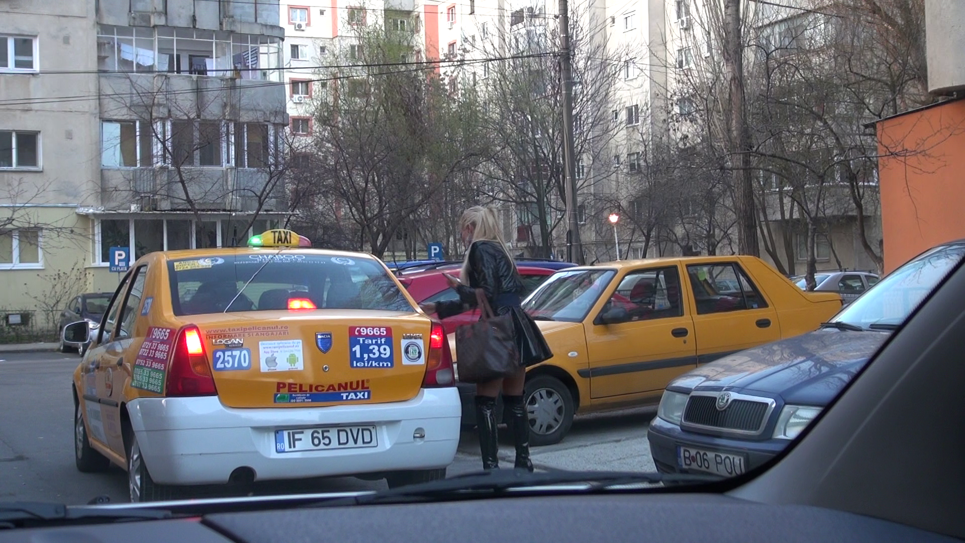 Can a ajuns acasa se luminase bine de ziua