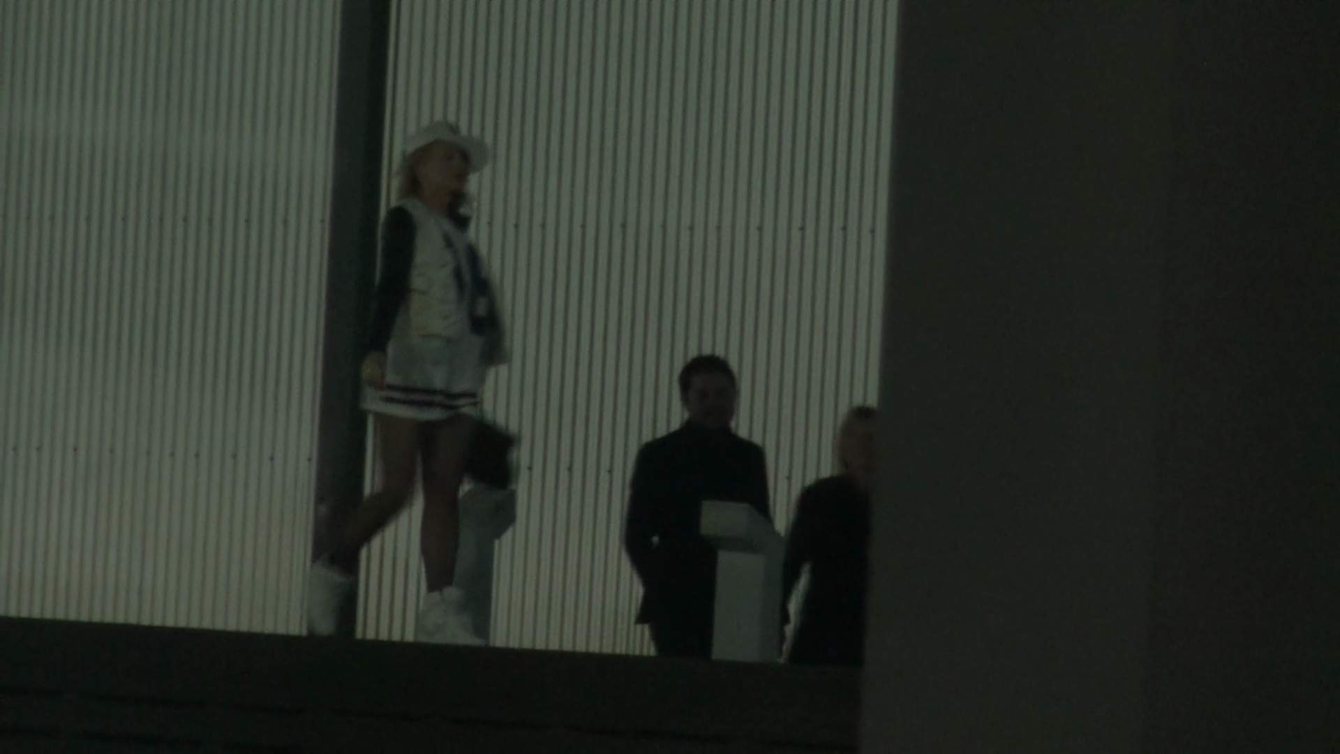 Artista a urcat pe un gardulet fredonand melodia