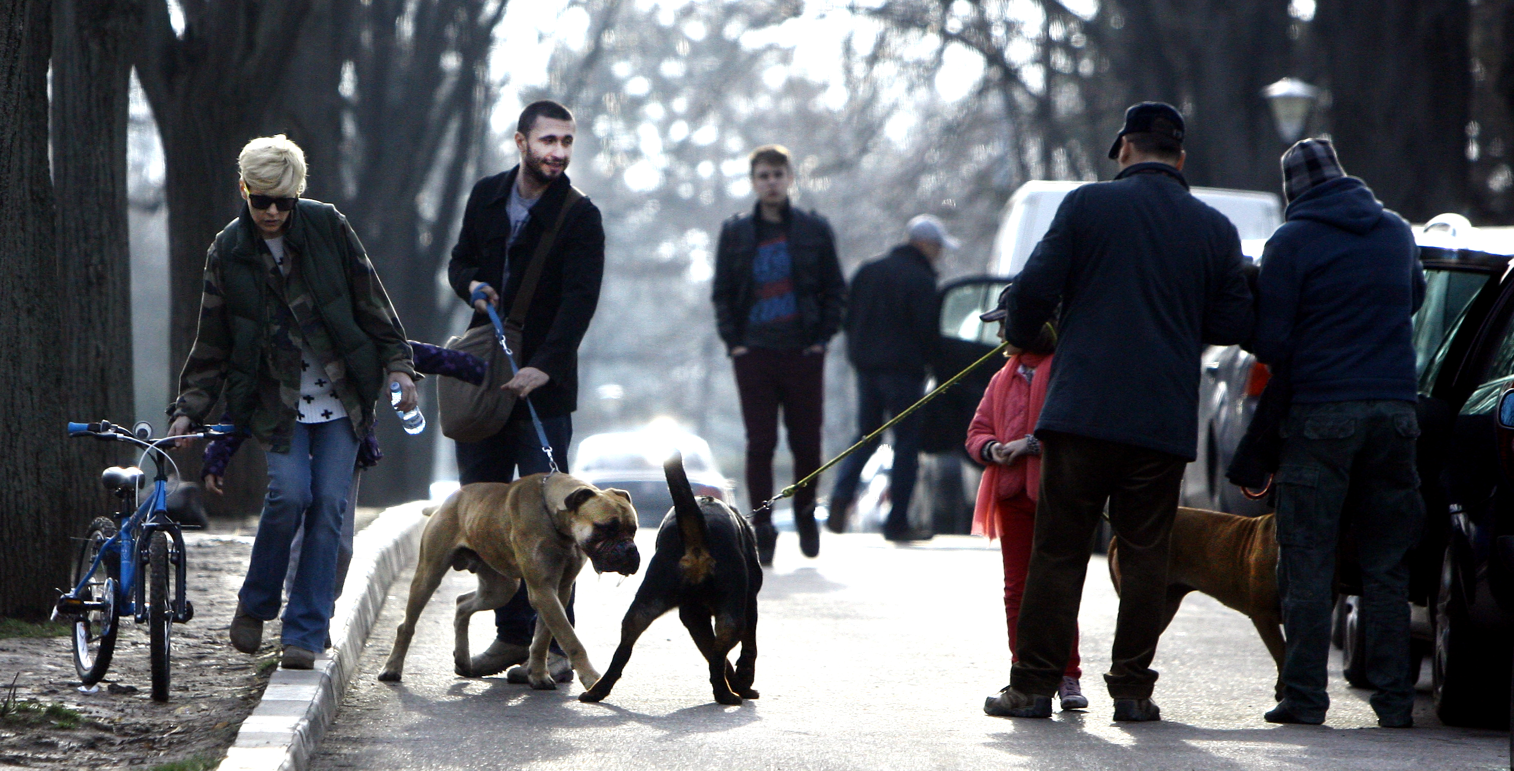 Actorul si cainele sau se intalnesc cu un domn care poarta in lesa un alt patruped. Cainii dau semne ca ar vrea sa se imprieteneasca
