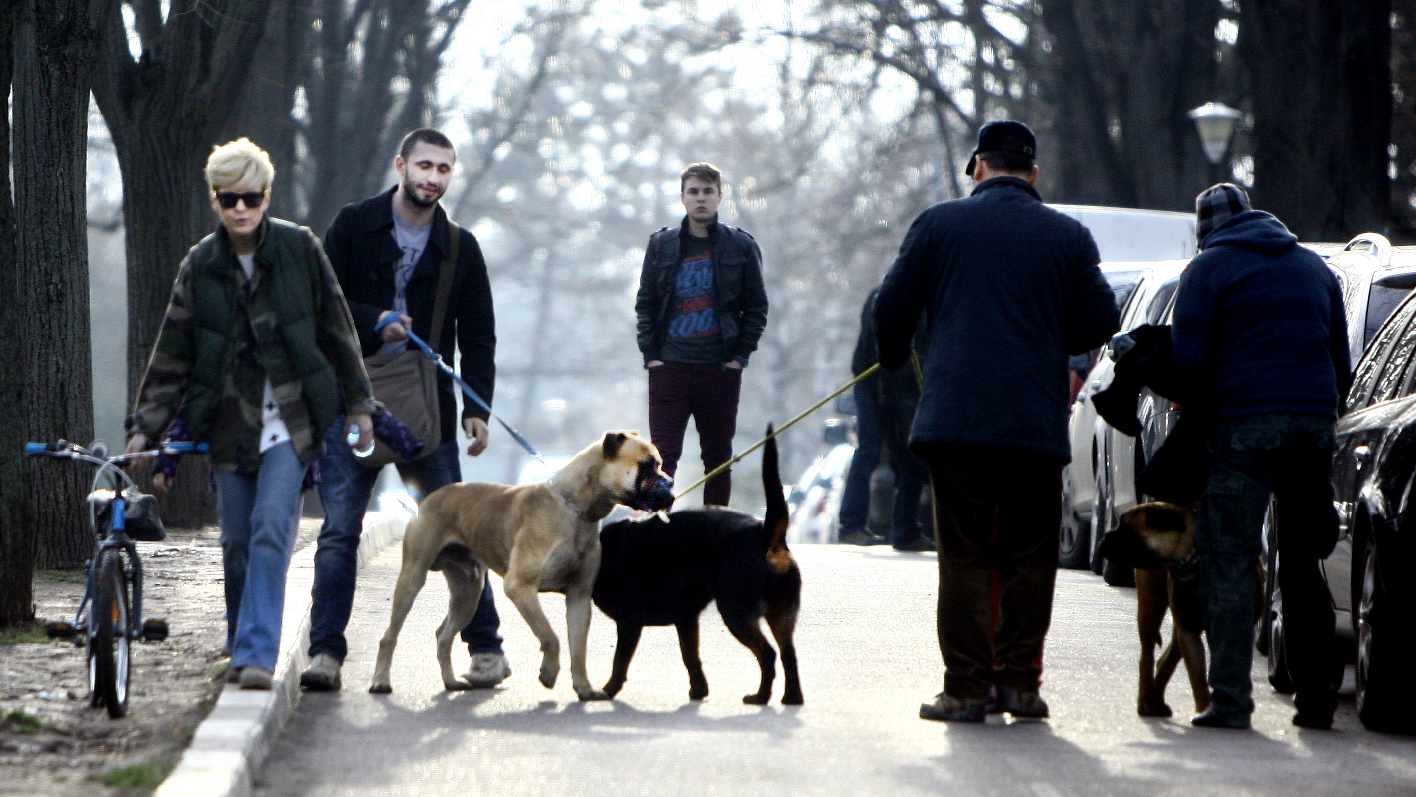 Pentru un moment pare ca animelele se inteleg, dar....