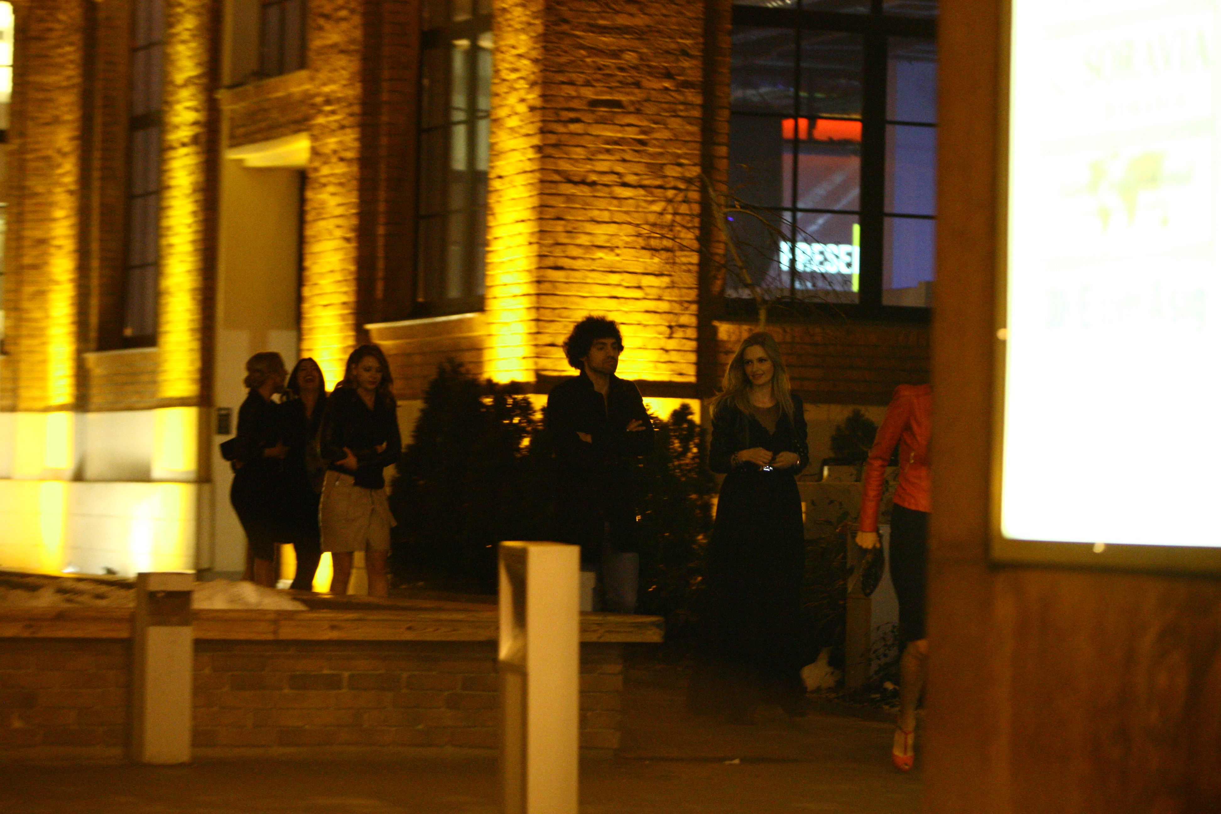 Alina isi continua seara la o petrecere intr-un restaurant de lux