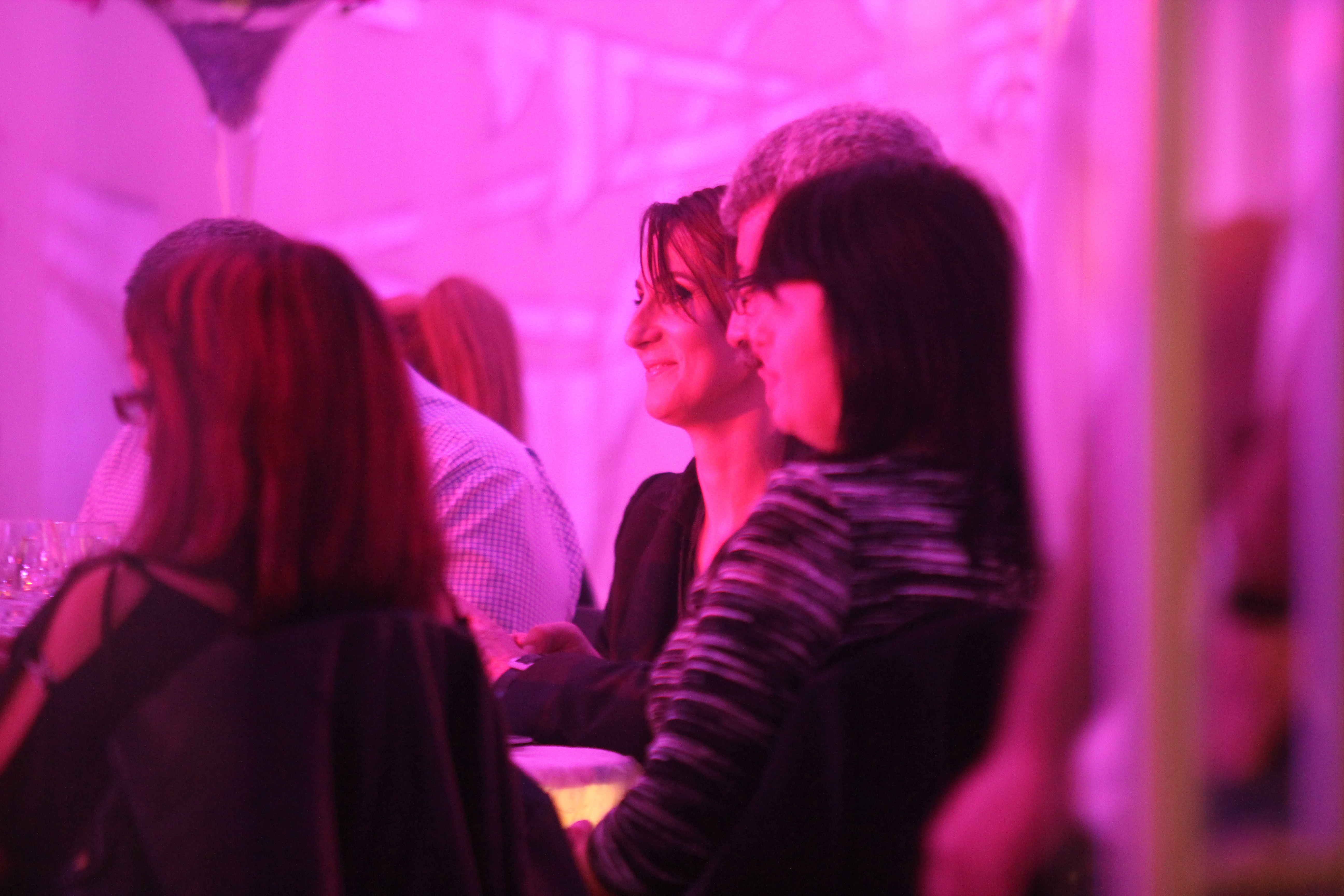 Cei doi au ras si au glumit toata seara