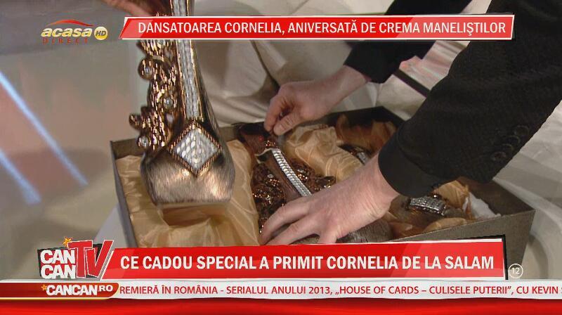 Dansatoarea Cornelia - 4