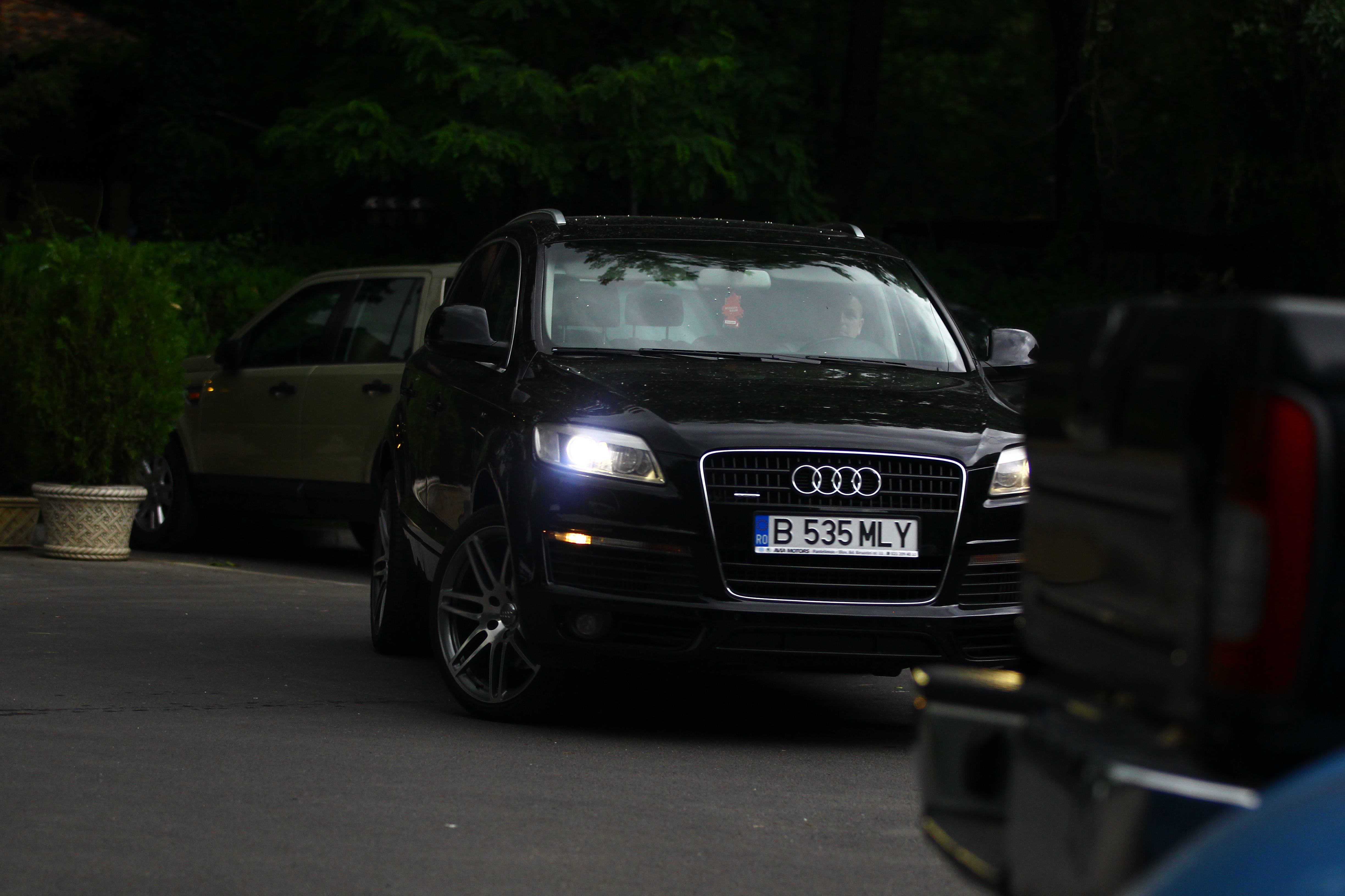 Ca o adevarata diva, Moni se deplaseaza doar cu masina cu sofer