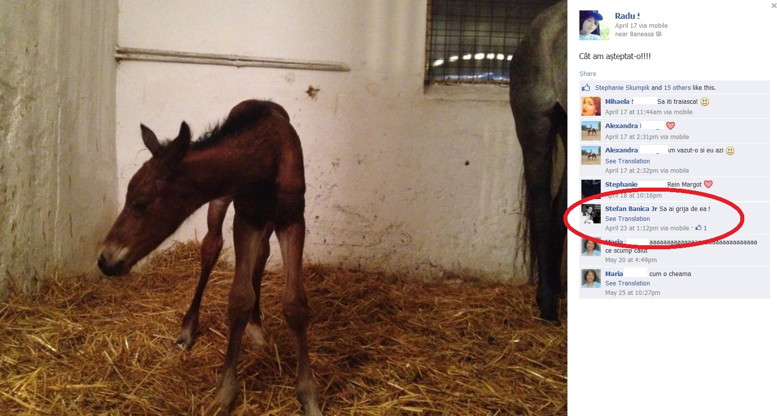 Fiul lui Banica s-a bucurat nespus cand s-a nascut manzul