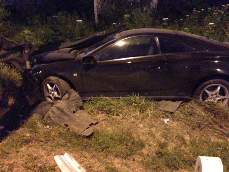 Femeia care conducea masina a fost nevoita sa iasa de pe carosabil pentru a nu calca un caine