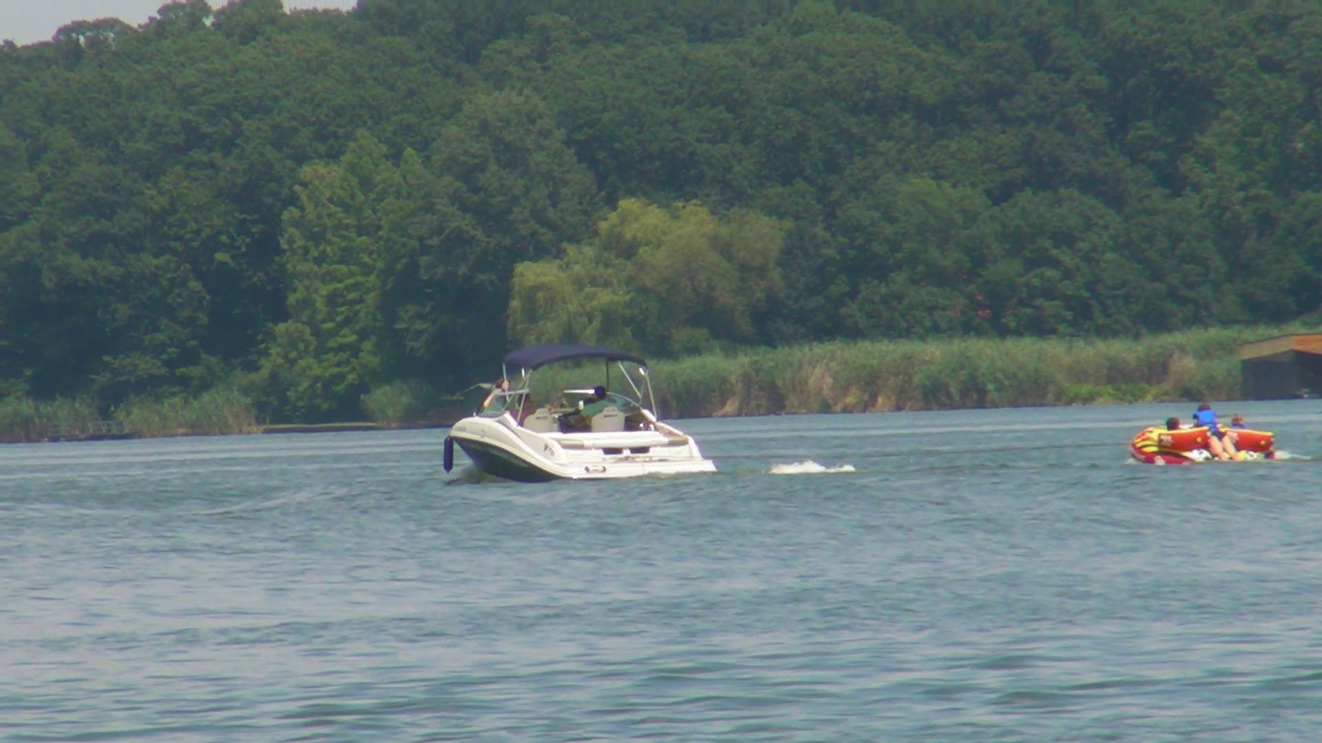 Laurentiu Reghecampf