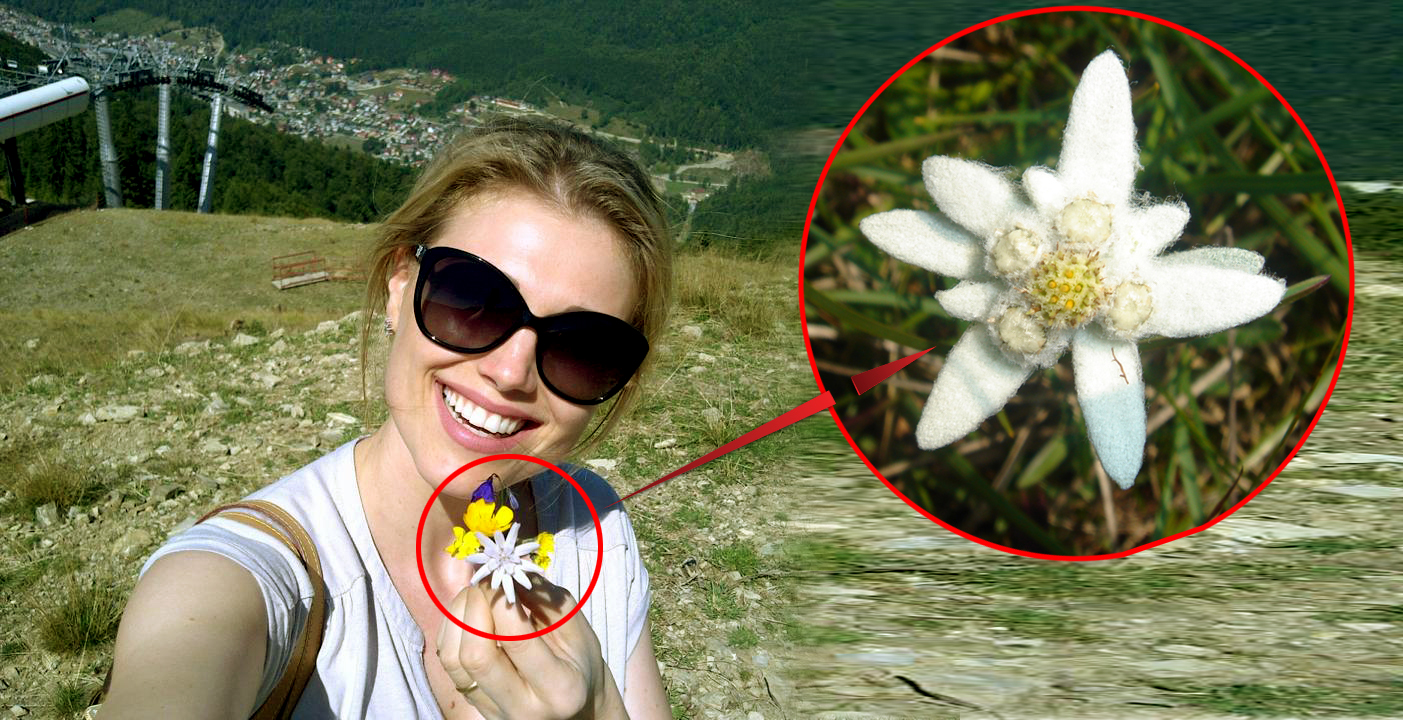 Aspectul florii din buchetelul Cristinei a starnit controverse uriase