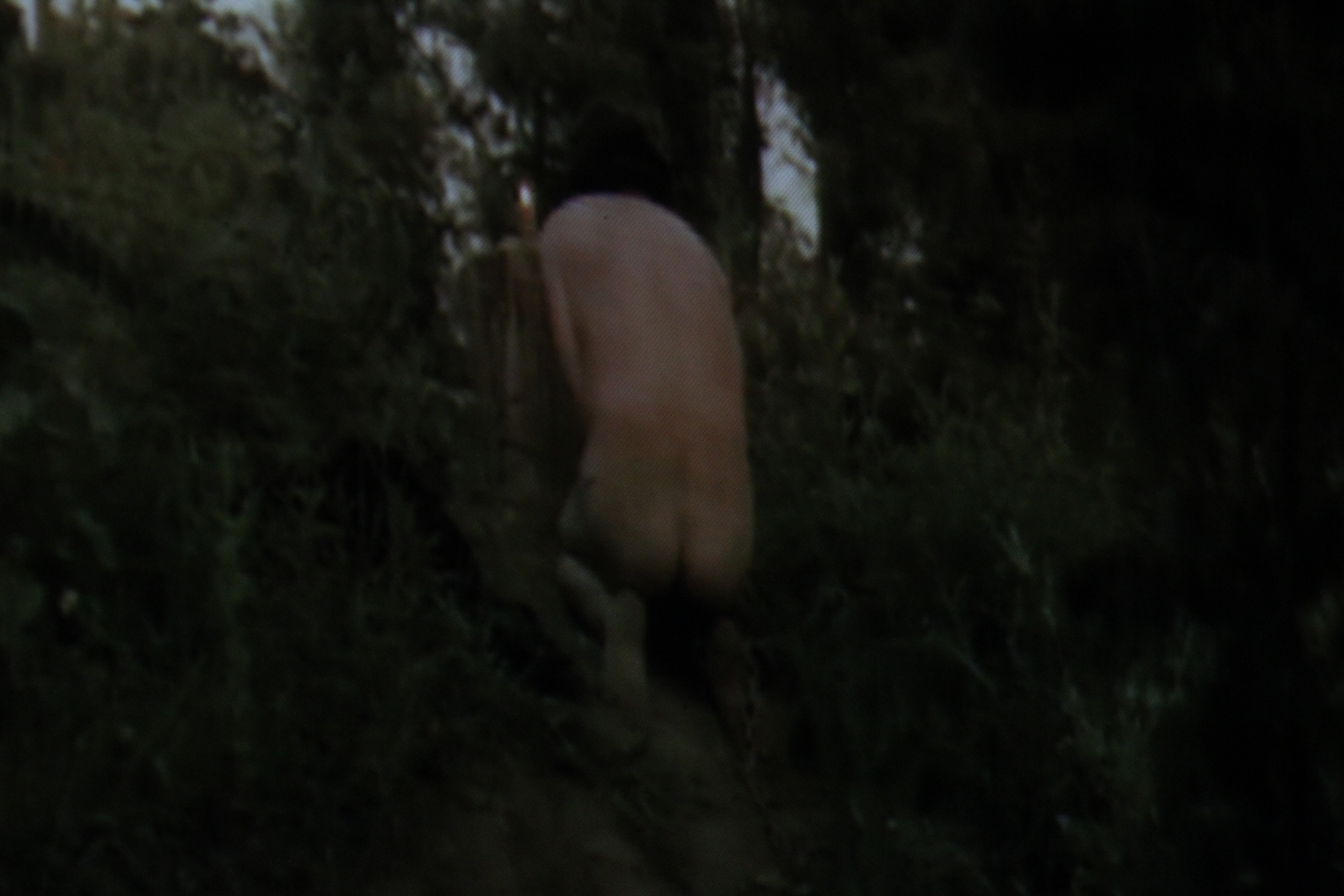In filmul lui Dorian apar si scene de nuditate