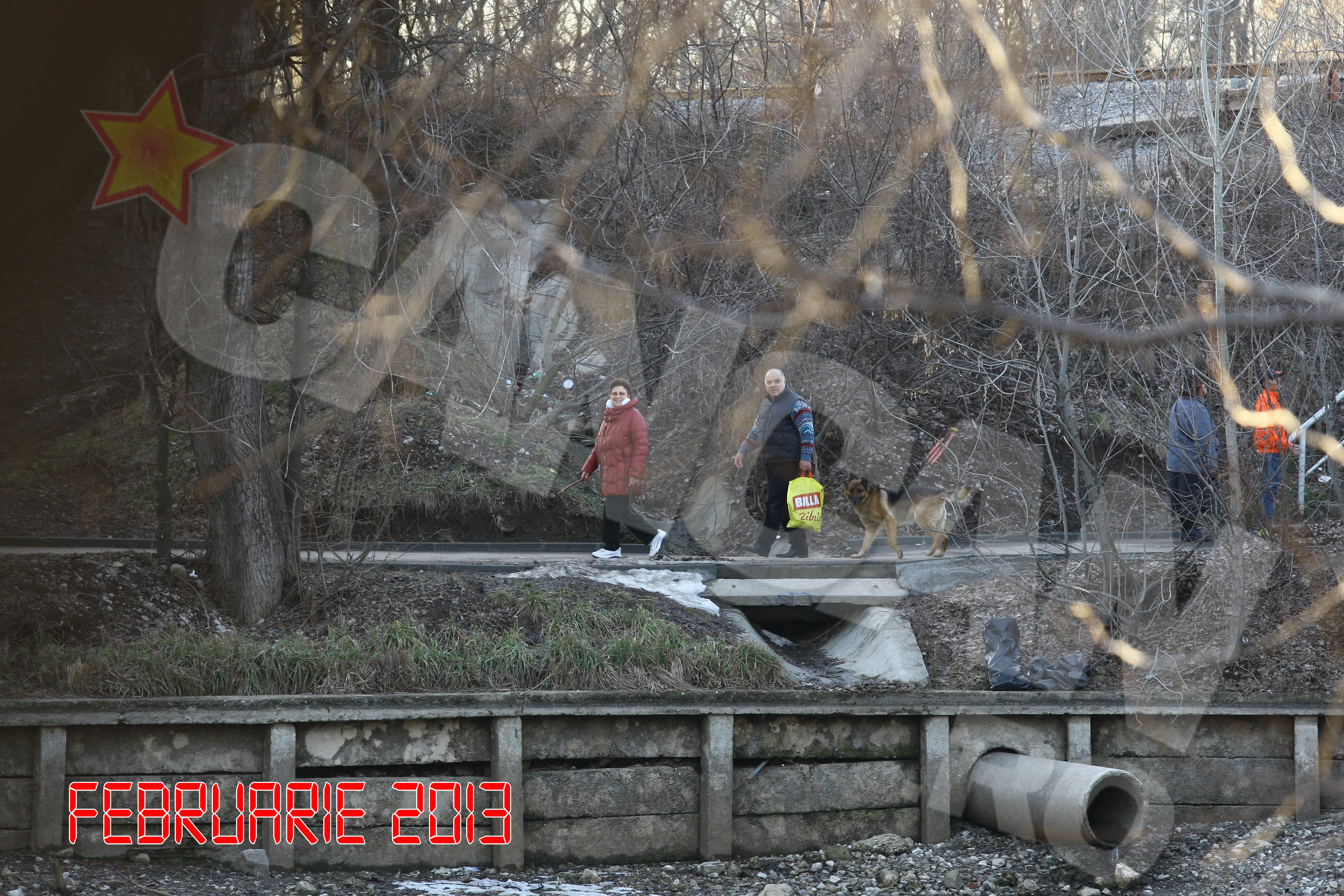 Uneori, iese la plimbare insotita. Aici, cel care i-a fost alaturi e parlamentarul Marius Marinescu