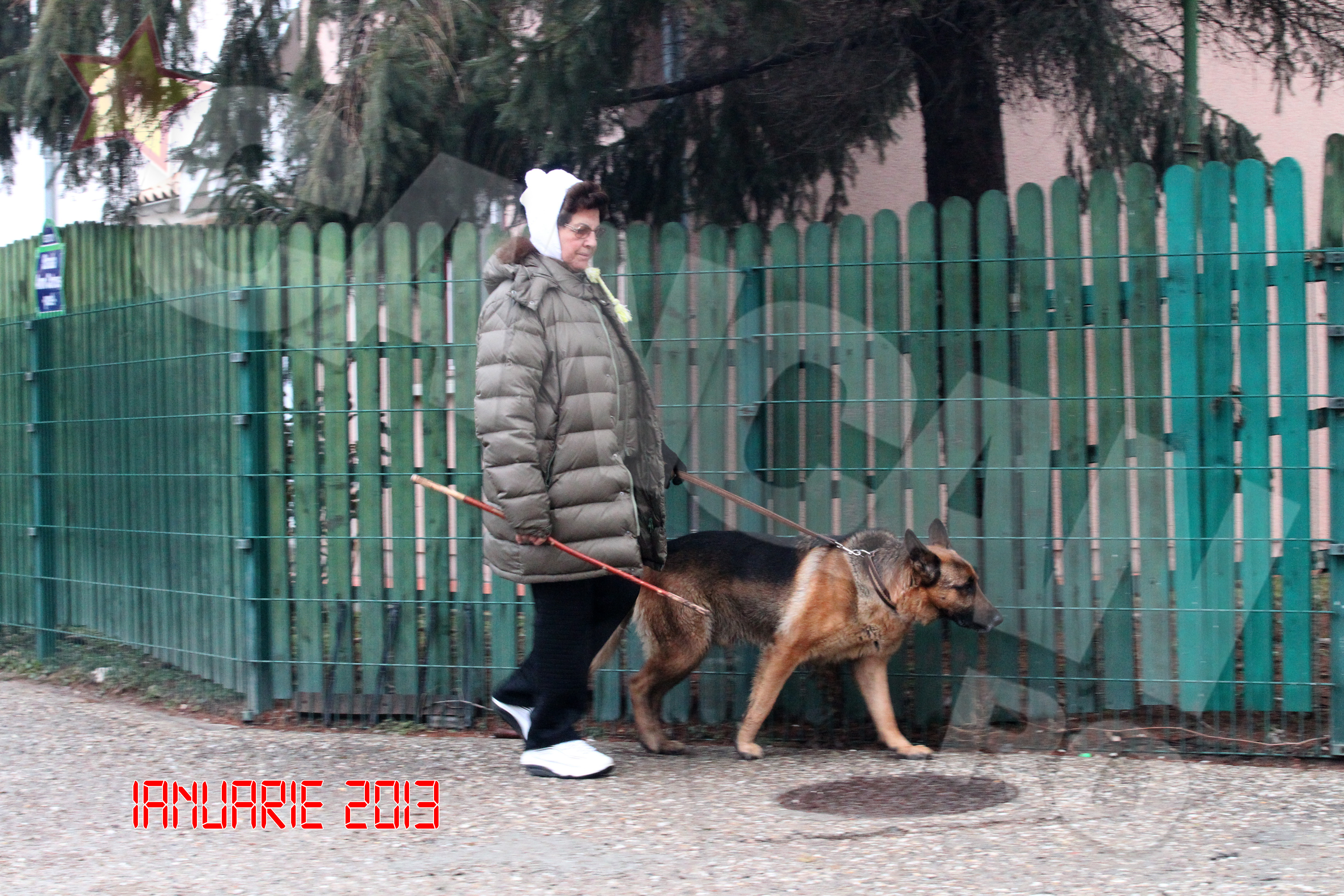 Nici cand e foarte frig, artista nu renunta la plimbare