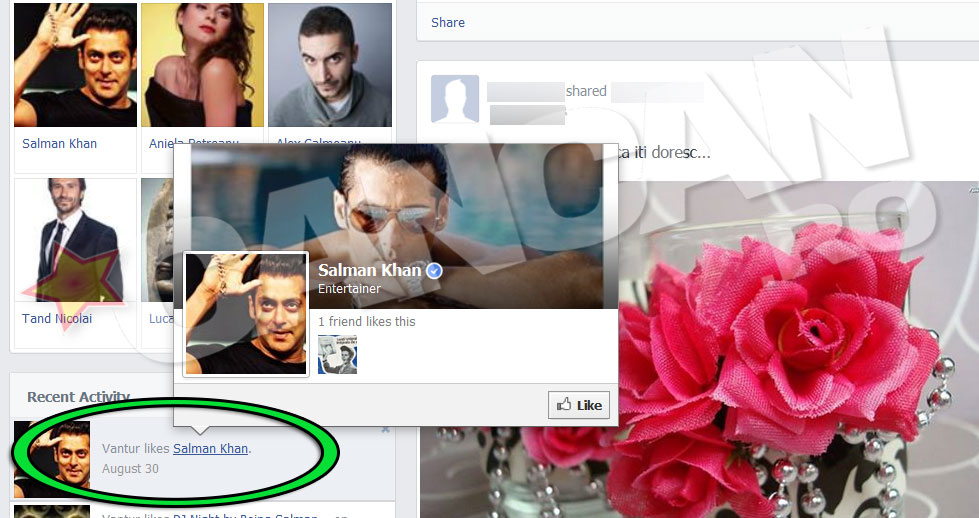 Pana acum doua zile, romanca nu avea printre aprecierile de pe Facebook pagina oficiala a lui Salman