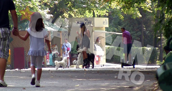 Tania s-a trezit incojurata de caini