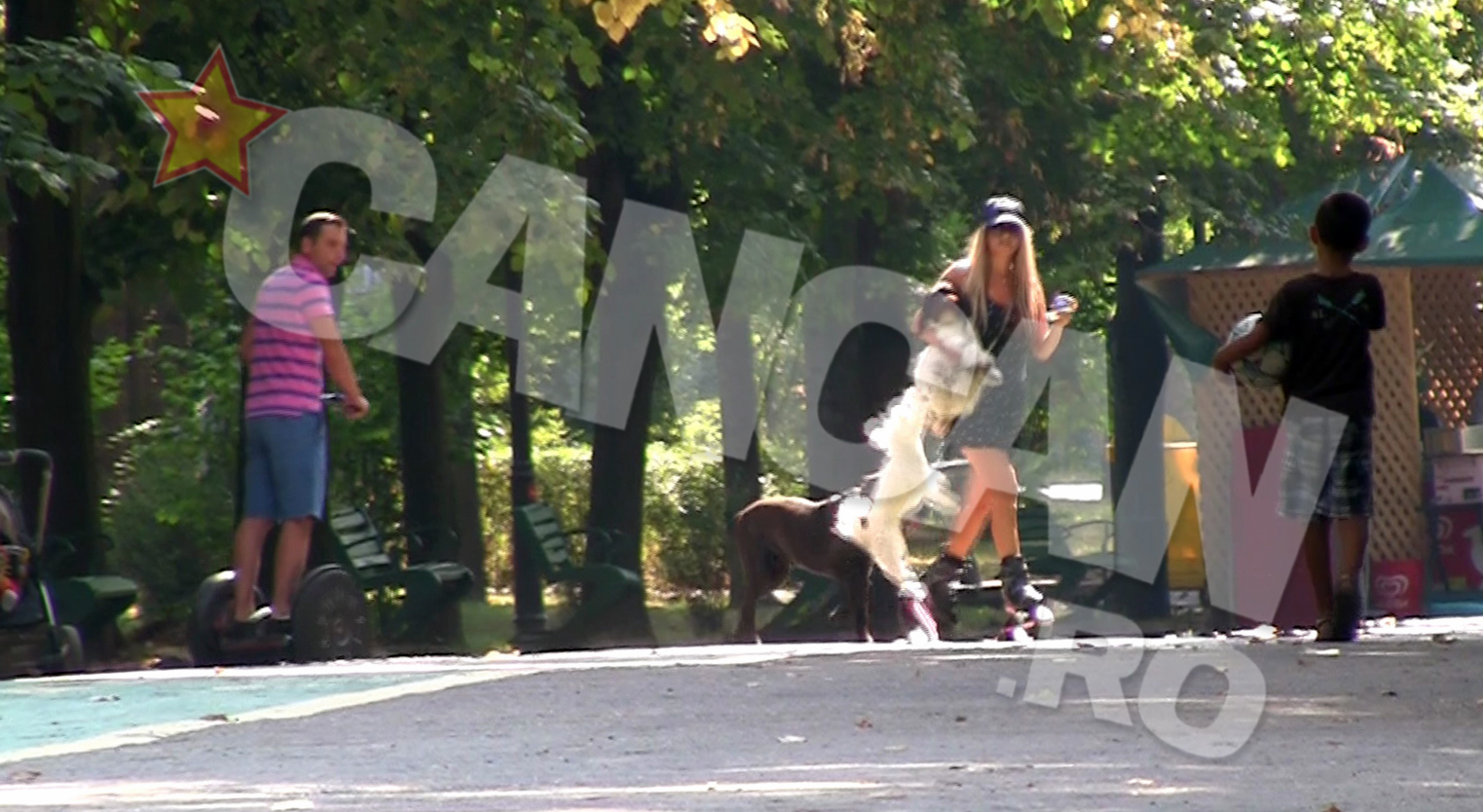 Simtind mirosul de inghetata, patrupedul a sarit pe Tania, dand starutul si altor caini din preajma