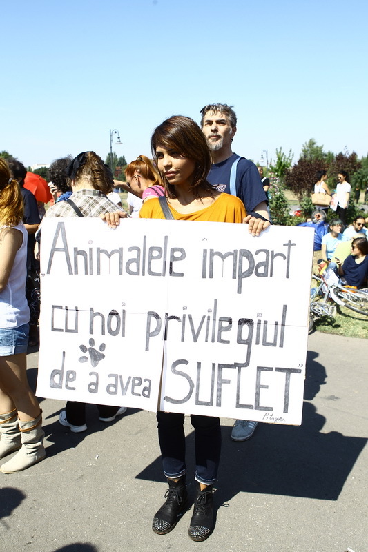 Andreea a stat in prima linie la protestul impotriva eutanasierii cainilor fara stapan si a promis ca va continua sa lupte pentru aceasta cauza