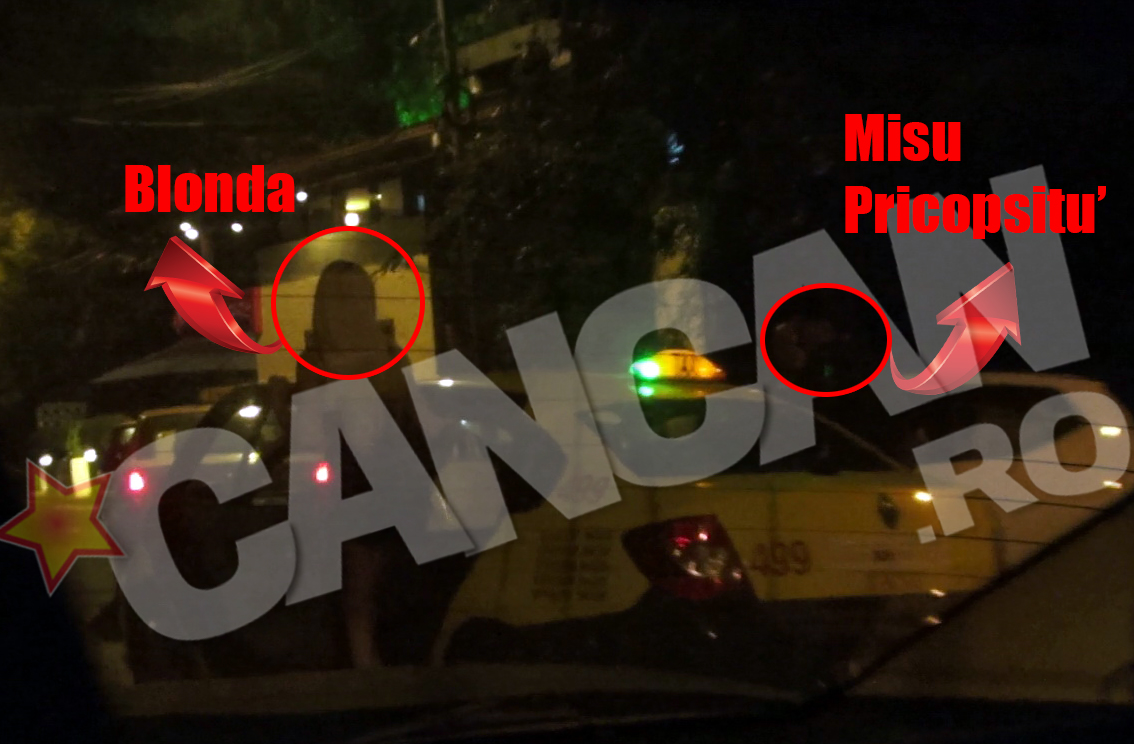 Misu Pricopsitu' si blonda lui au plecat acasa cu un taxi