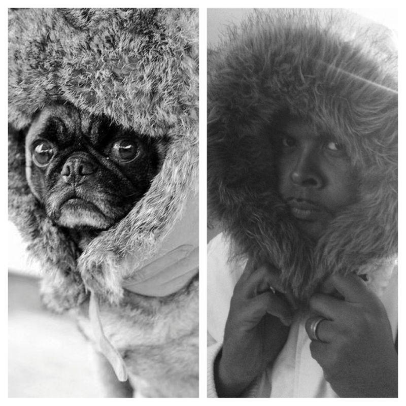 Cabral pare sa-si fi facut o ambitie din a ajunge sa semene cu... cainii lui