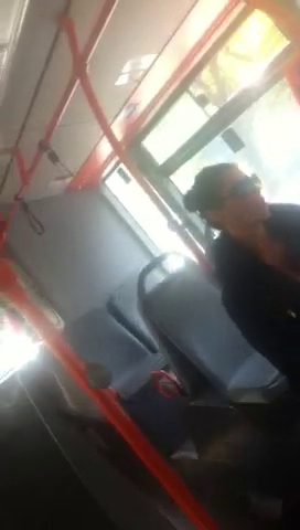 Denise Iacobescu - 2