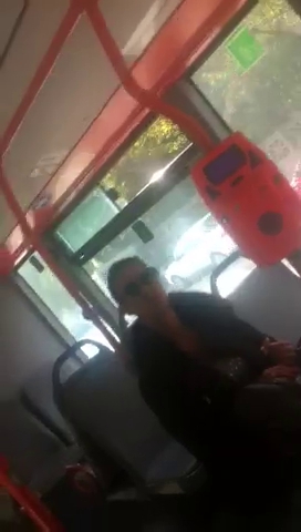 Denise Iacobescu - 3