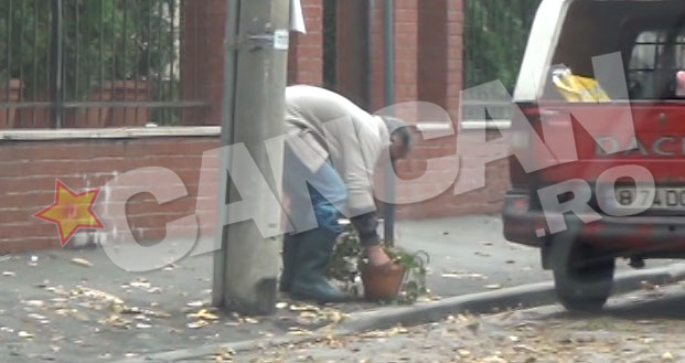 Gradinarul a scos din curtea lui Banica mai multe ghivece cu flori ofilite