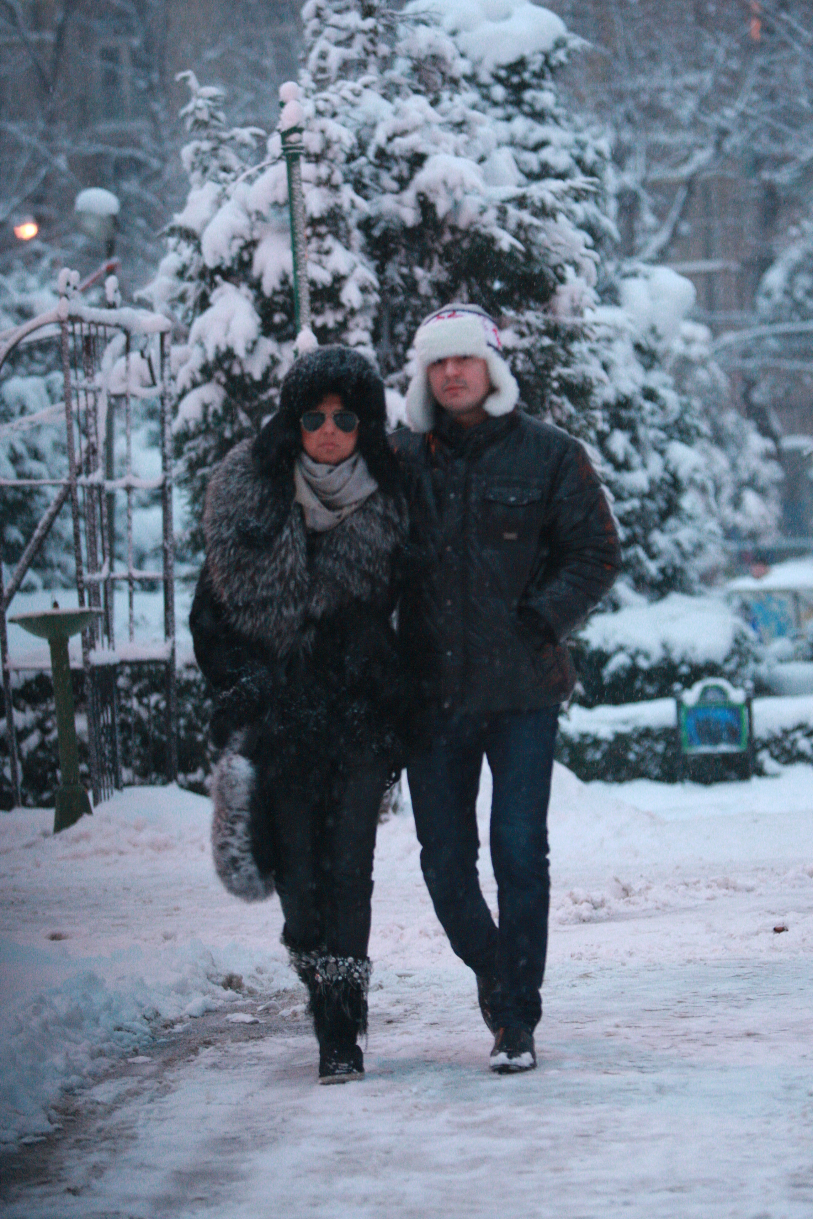 ianis zicu, lavinia parva - 1