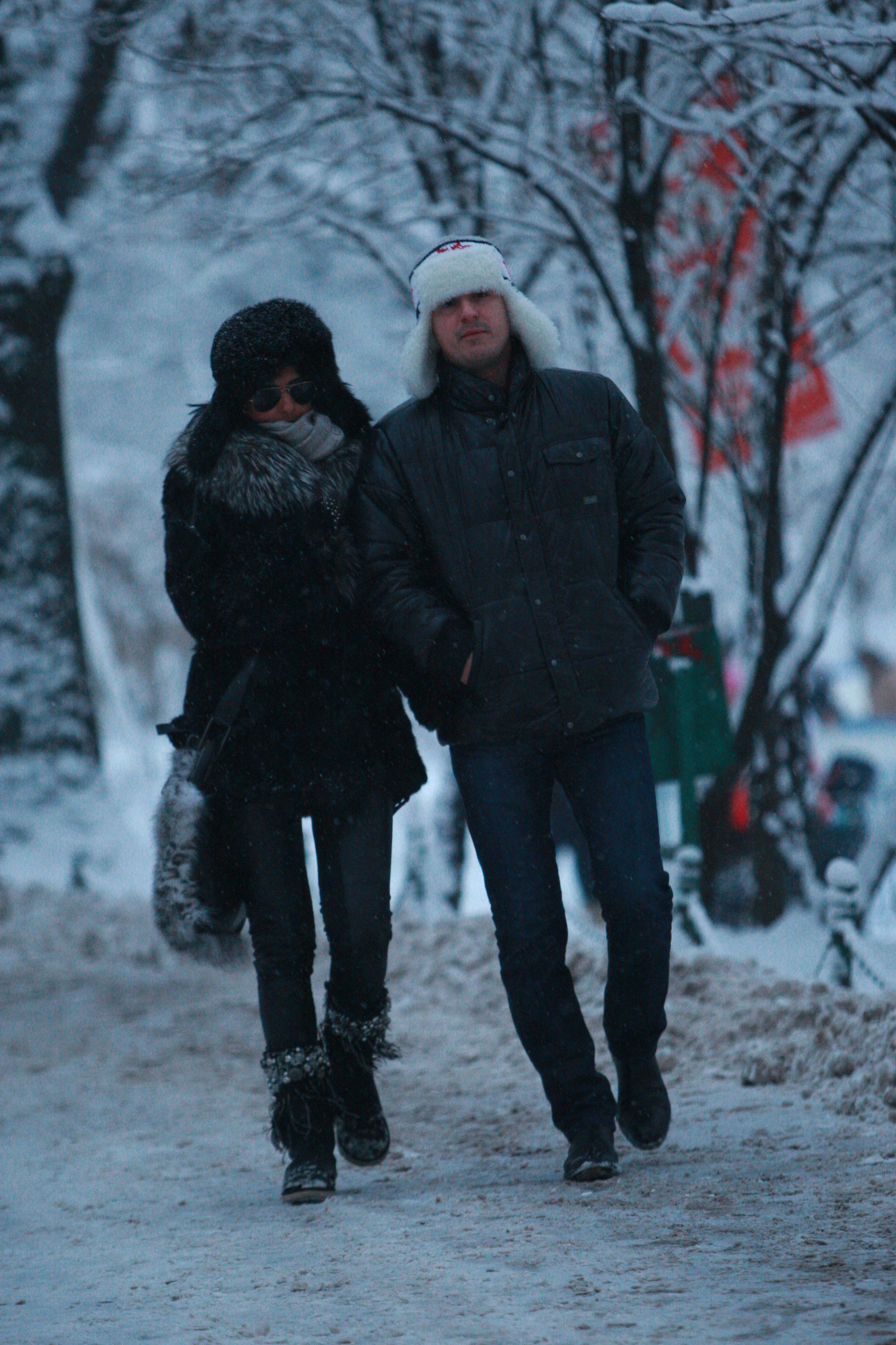 ianis zicu, lavinia parva - 2