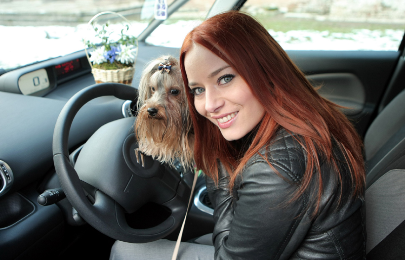 Laura l-a primit pe Jazzy de la fostul iubit, Smiley.