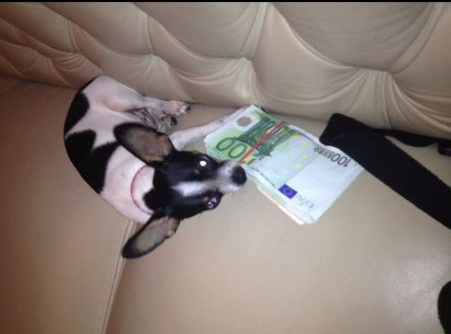 Renu este obisnuit sa vada bani aruncati in toata casa