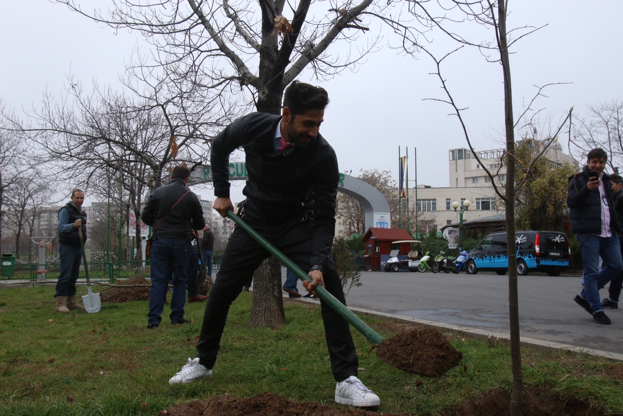 Artistul stie cum sa tina o lopata