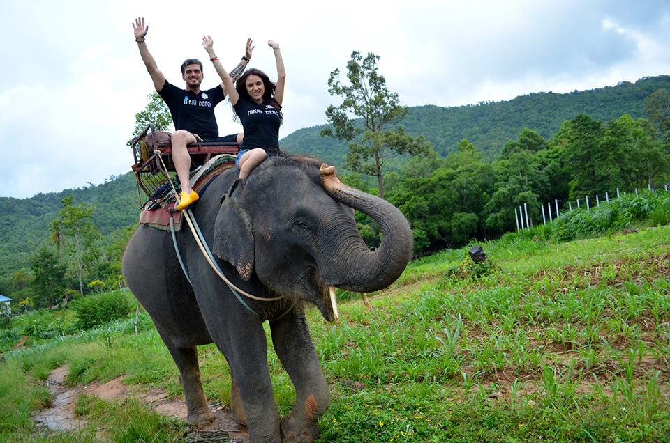 Solistul a facut safari si s-a plimbat cu elefantul