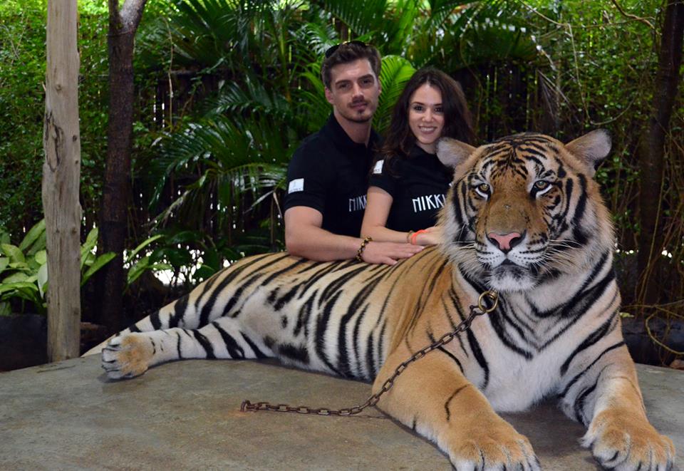 Imaginea cu tigrul aminteste clar de filmul 