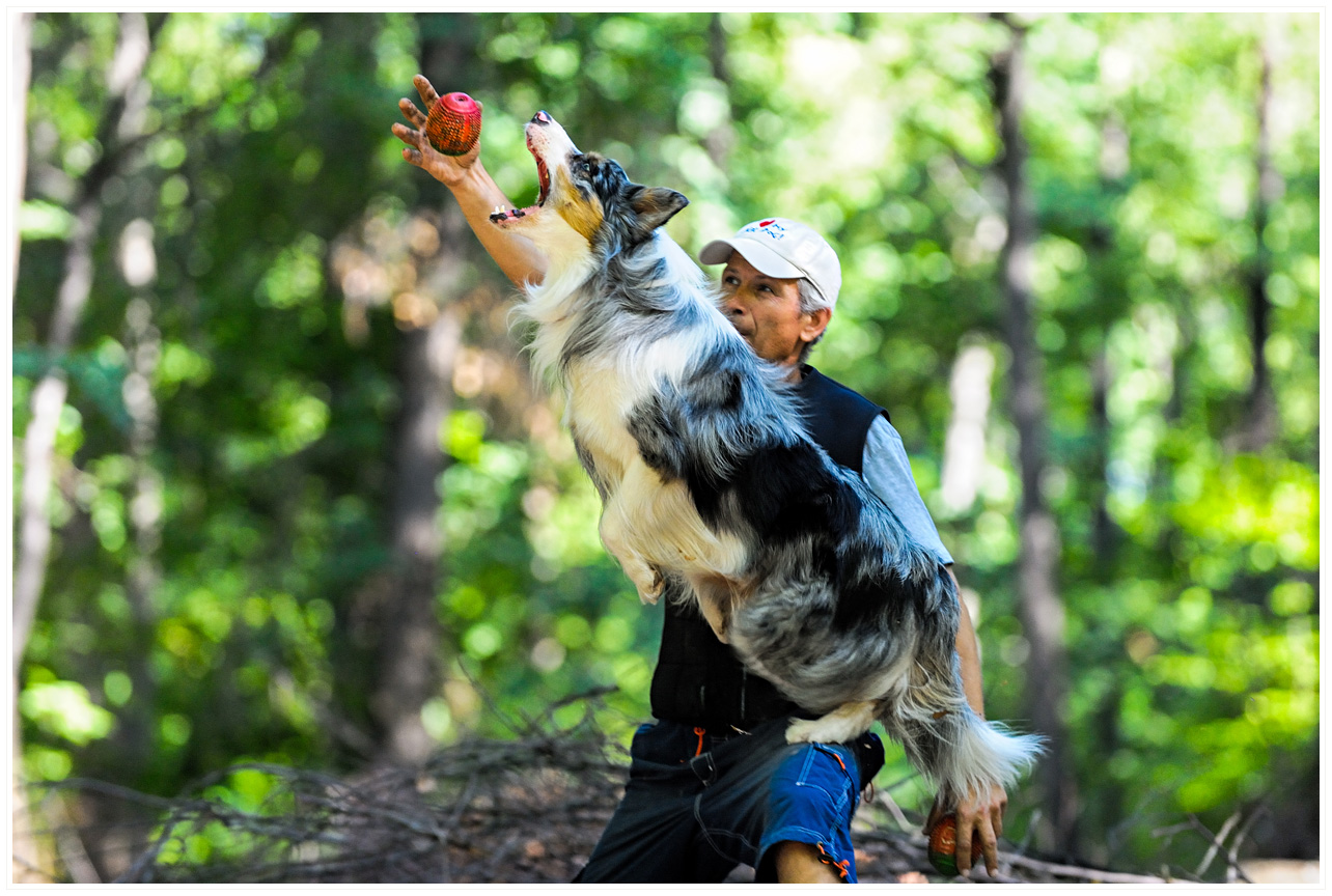 Bruno alaturi de Blue in timp ce se antrenau