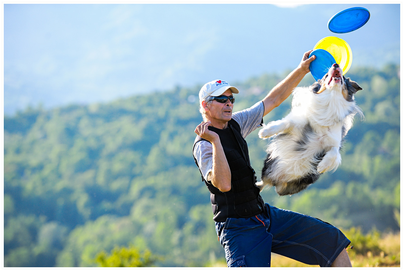 Bruno le aduce celor patru catei ai sai in fiecare an cate ceva de Sarbatori