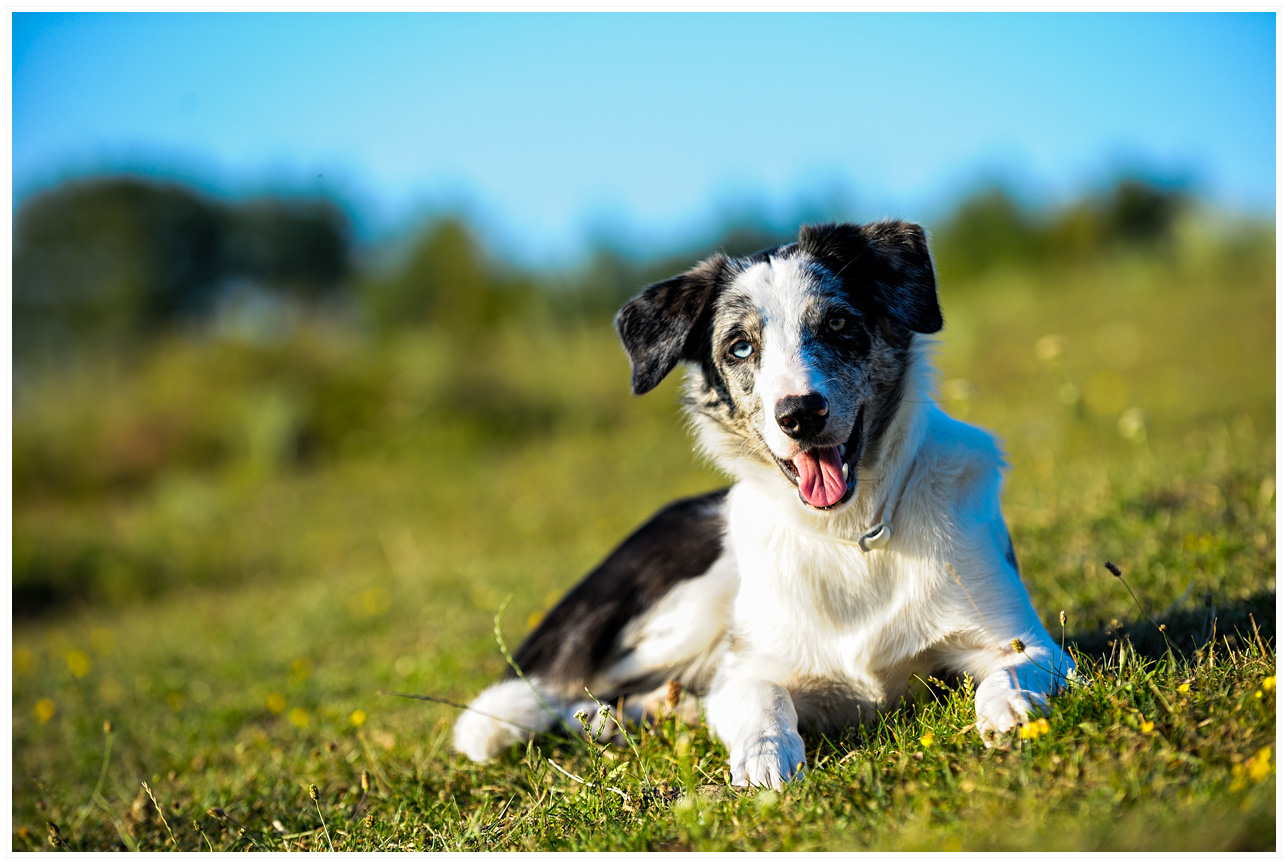 J in timp ce se relazeaza dupa un antrenament