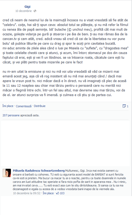 Gigi, prietenul Mihaelei Radulescu, l-a atacat foarte virulent pe Daniel Constantin