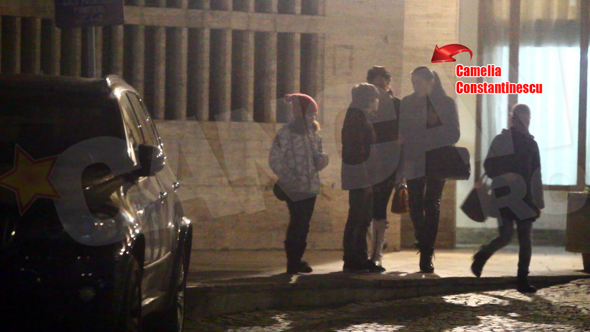 Camelia a venit la concert imbracata ca o pustoaica. A incercat sa treaca neobservata, dar n-a scapat privirii agere a paparazzilor CANCAN.ro