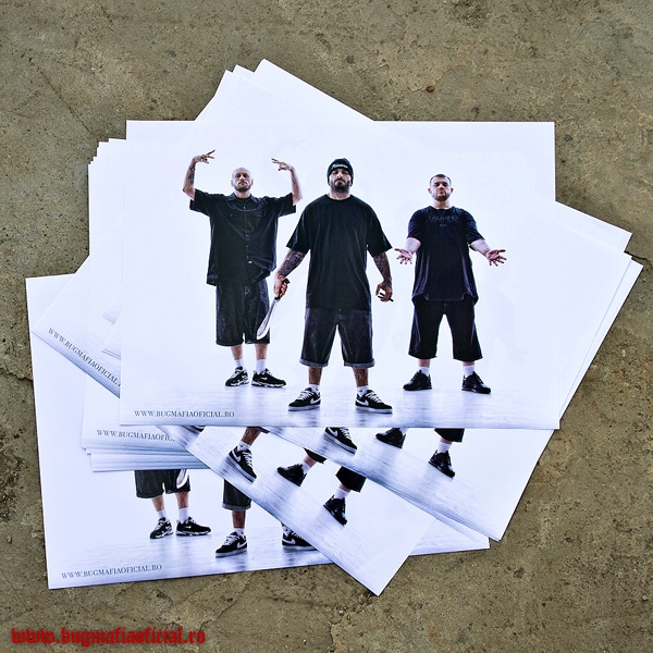 Posterele se vand la 7 lei bucata