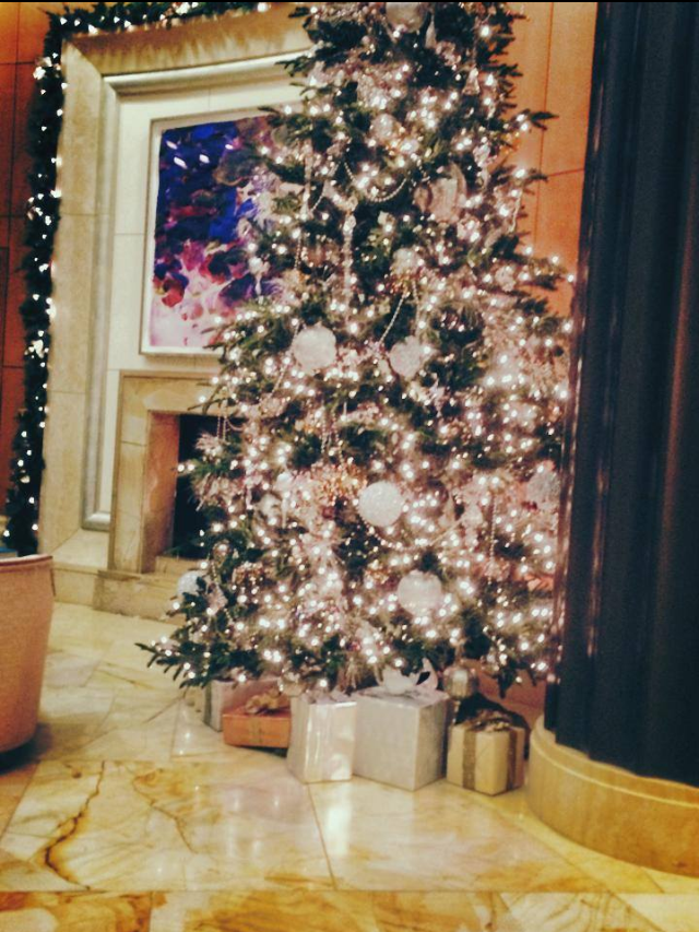 Monica Gabor a facut deja bradul in resedinta din America