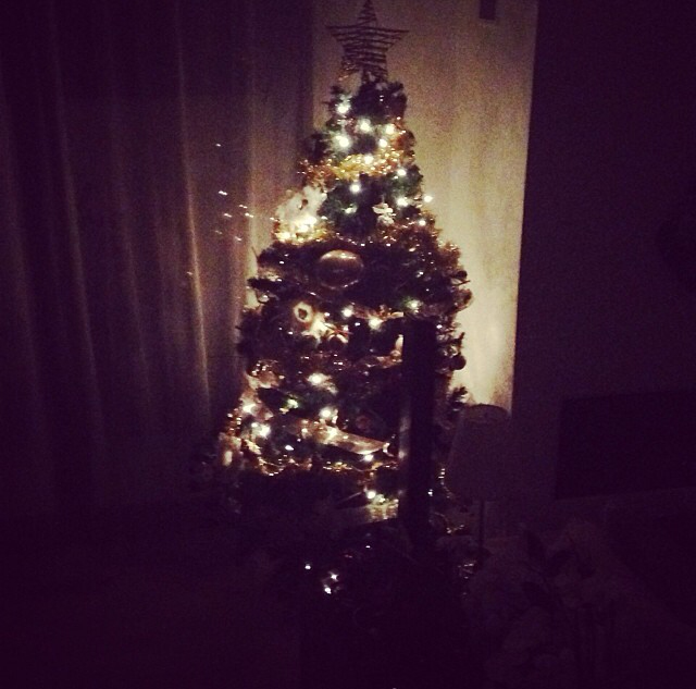 Andreea Raicu si-a facut un brad cu stil