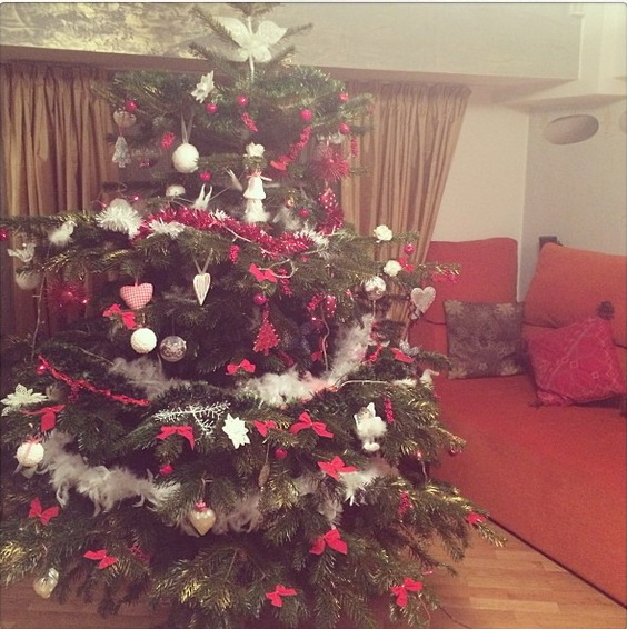 Bradul Deliei este deja vedeta pe site-urile de socializare