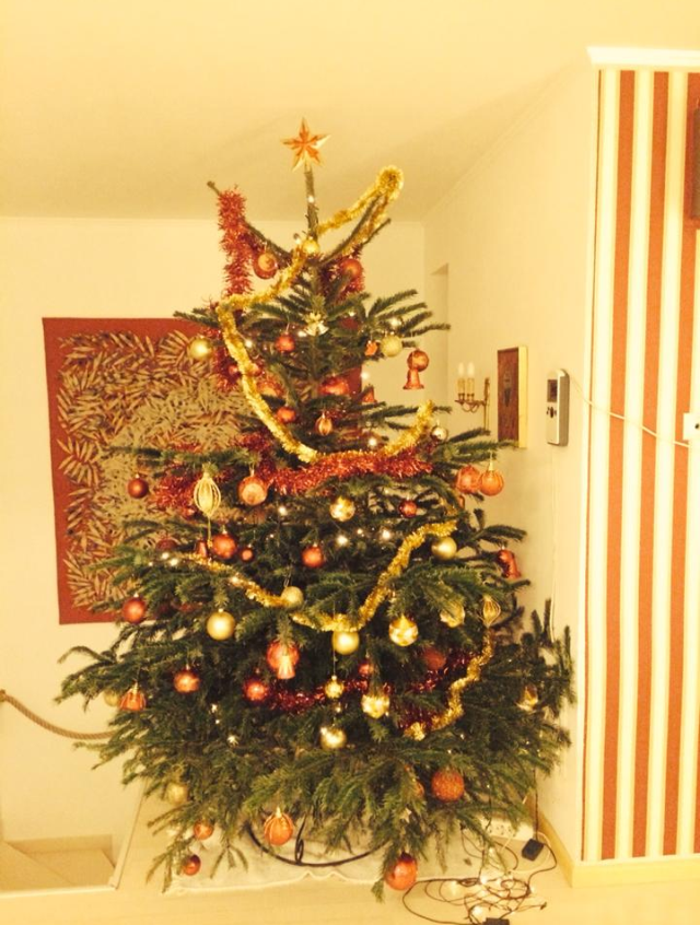 Ileana Badiu a ornat alaturi de fiul sau