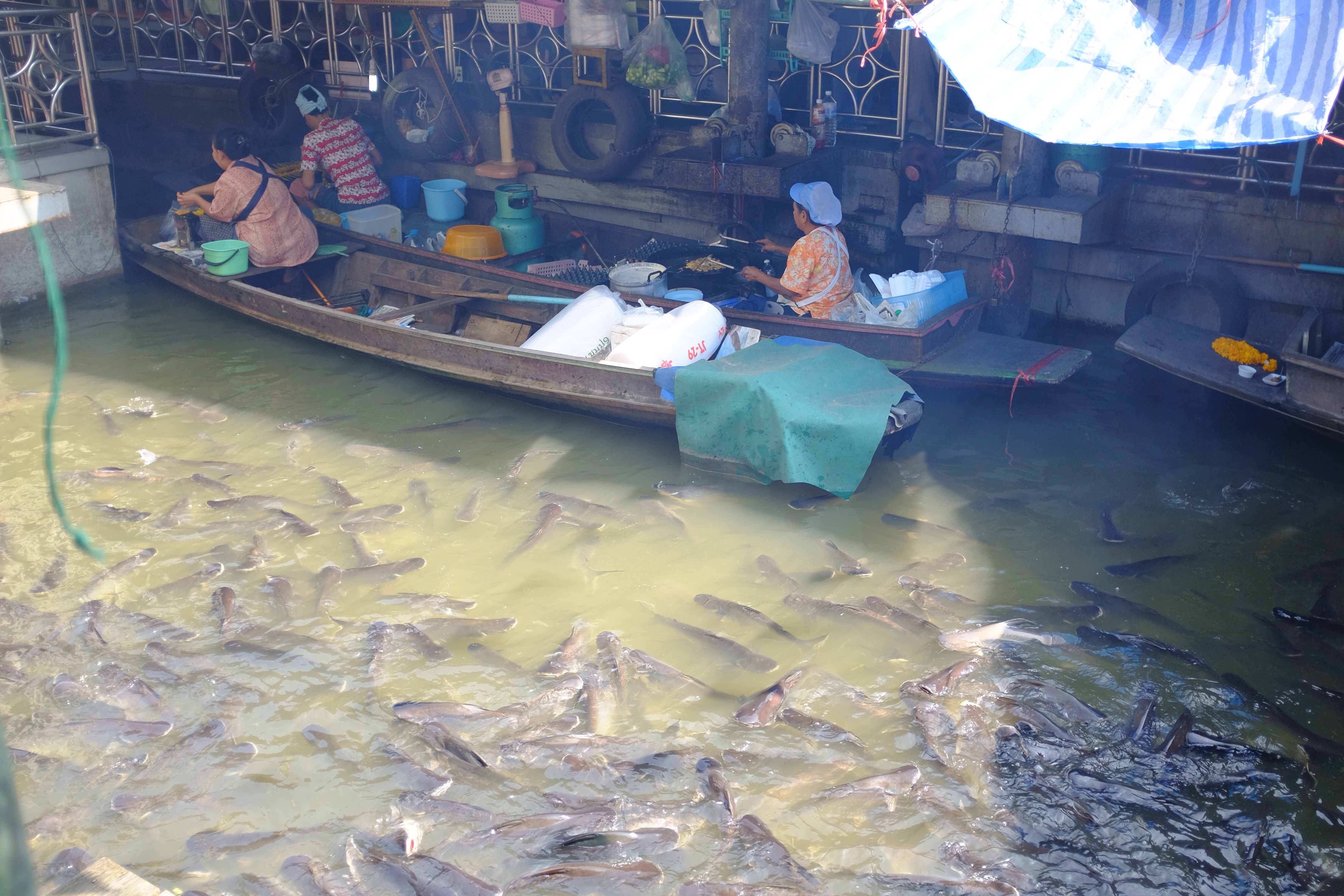 Radu Valcan si Adela Popescu