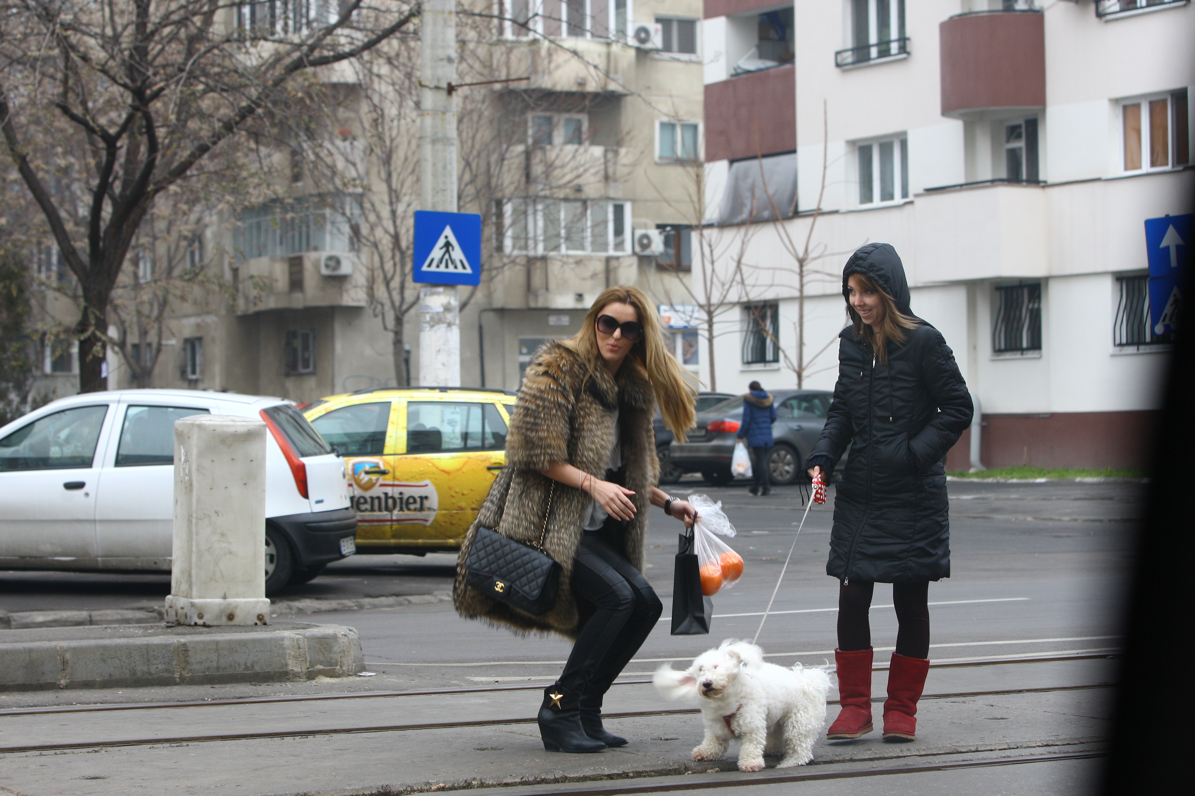 Blonda se joaca putin cu patrupedul unei vecine