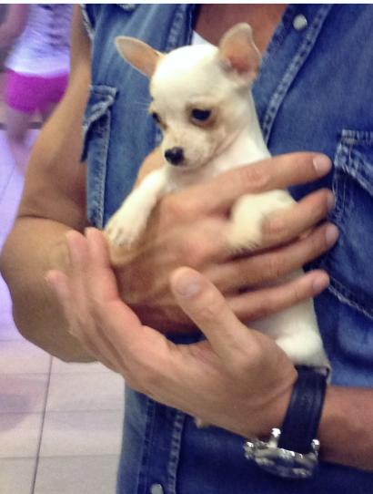 Bianca Dragusanu a postat pe Facebook o fotografie cu Victor Slav, insa a decupat imaginea, astfel capul prezentatorului nu i s-a mai vazut, insa fanii si-au dat seama